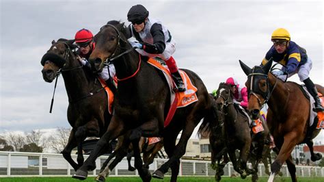 PB Lawrence Stakes 2023 Tips, Preview & Betting Advice.